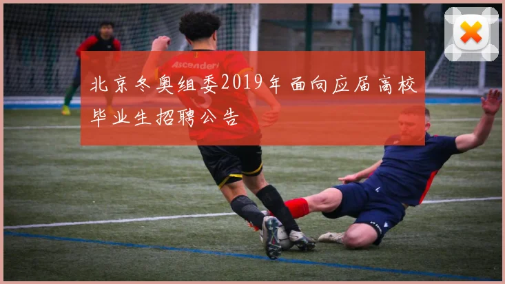 北京冬奥组委2019年面向应届高校毕业生招聘公告
