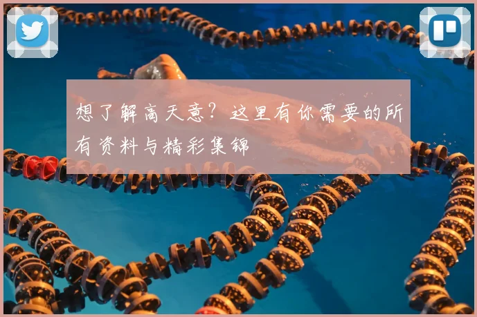 想了解高天意？这里有你需要的所有资料与精彩集锦