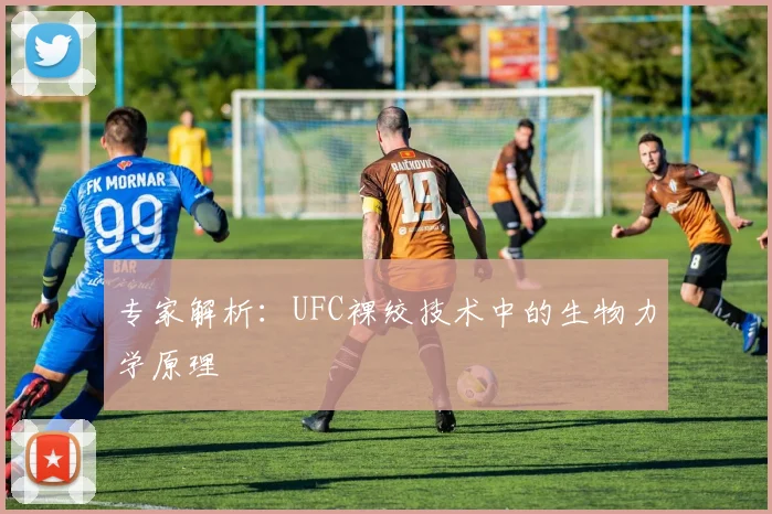 专家解析：UFC裸绞技术中的生物力学原理