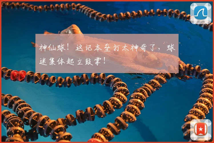 神仙球！这记本垒打太神奇了，球迷集体起立鼓掌！