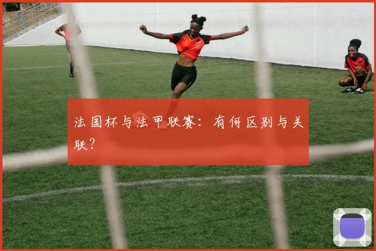 法国杯与法甲联赛：有何区别与关联？
