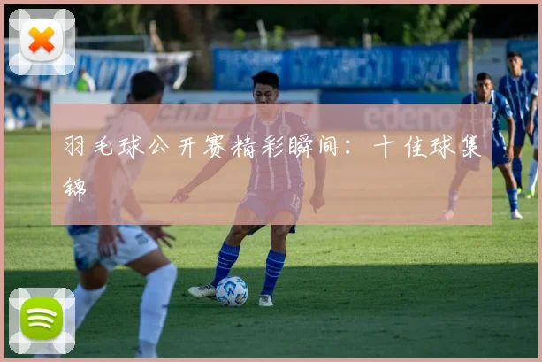 羽毛球公开赛精彩瞬间：十佳球集锦