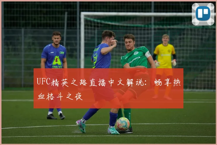 UFC精英之路直播中文解说：畅享热血格斗之夜