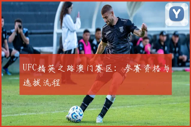 UFC精英之路澳门赛区：参赛资格与选拔流程
